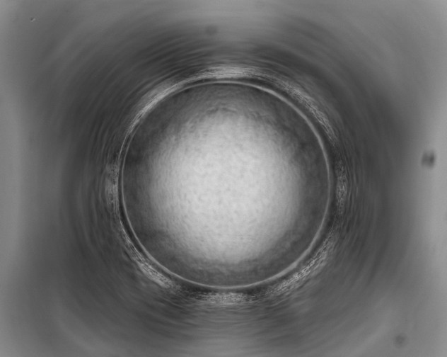 X0000100961417200807011321