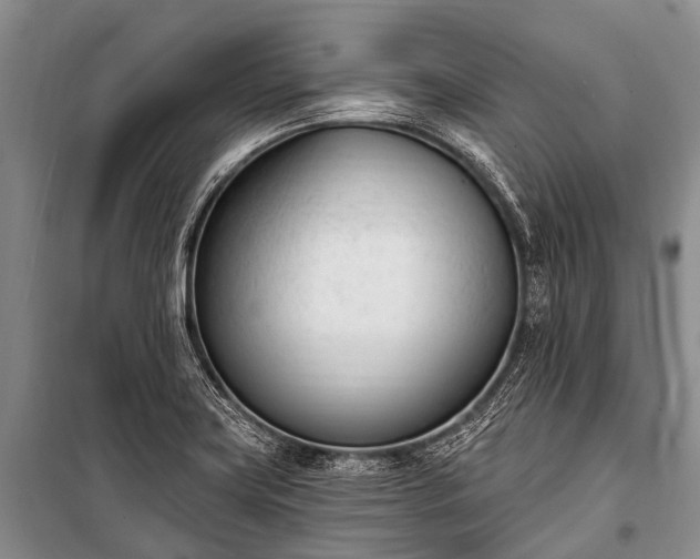 X0000100961419200807011321