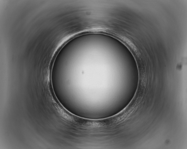 X0000100961420200807011321