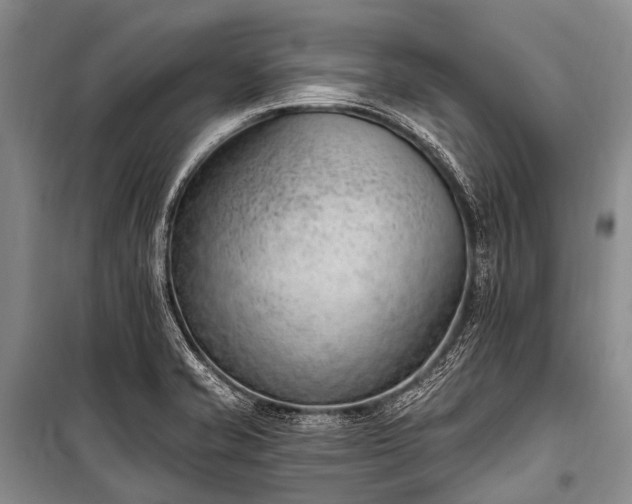 X0000100961421200807011321