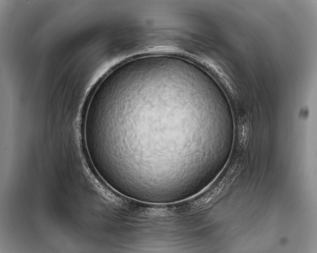 X0000100961422200807011321
