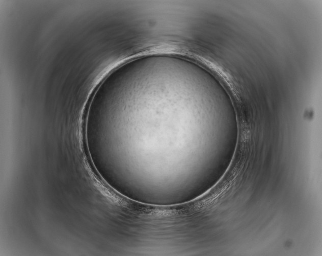 X0000100961423200807011321