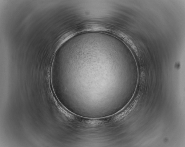 X0000100961425200807011321