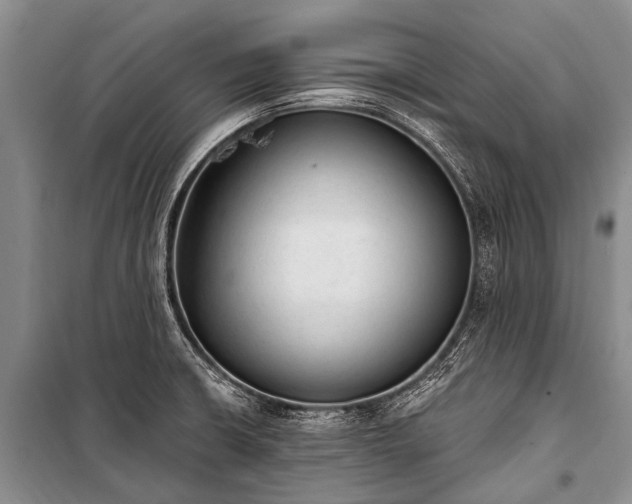 X0000100961426200807011321