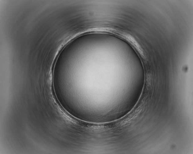 X0000100961428200807011321