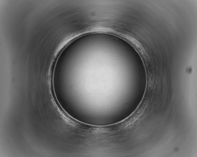 X0000100961430200807011321