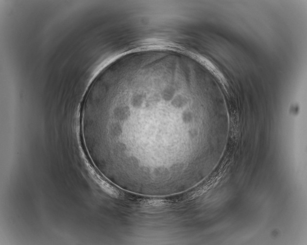 X0000100961431200807011321