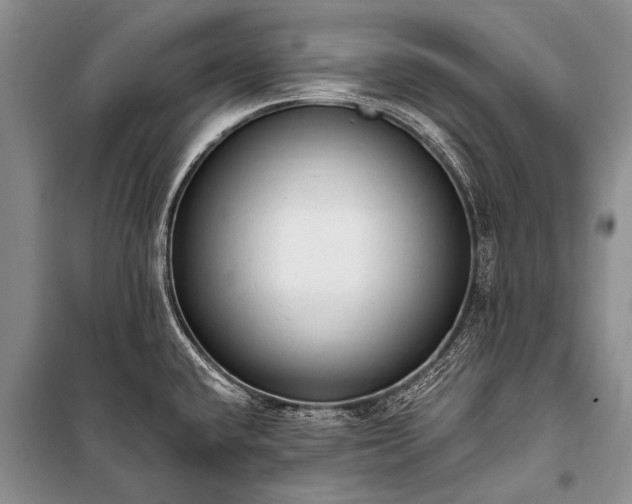 X0000100961432200807011321