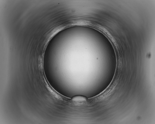 X0000100961433200807011321