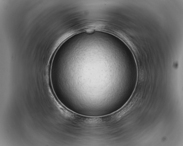 X0000100961434200807011321