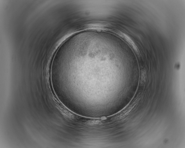 X0000100961435200807011321