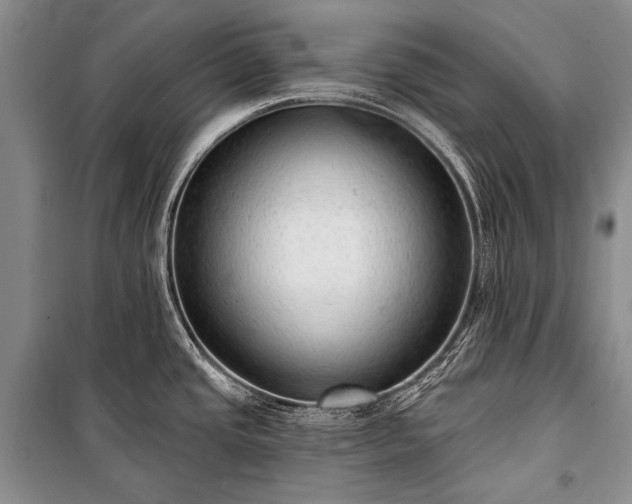 X0000100961437200807011321