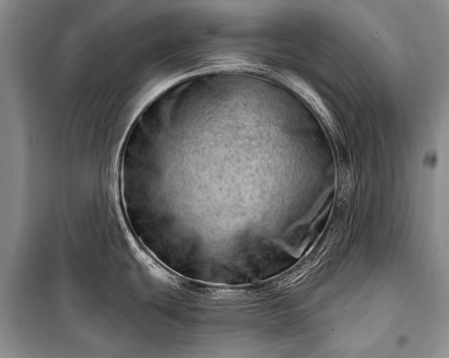 X0000100961439200807011321