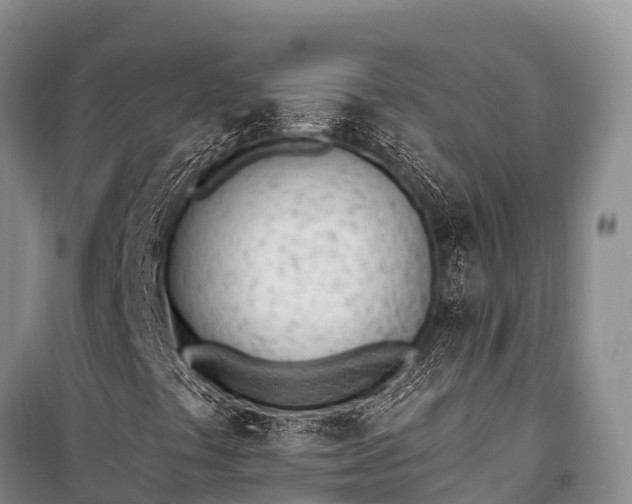 X0000100961441200807011321