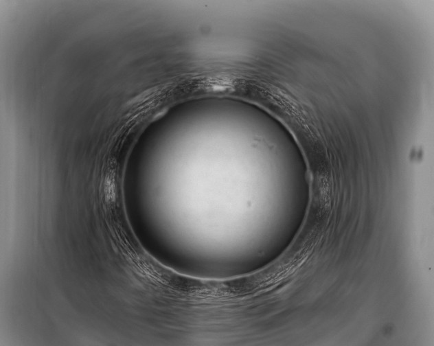 X0000100961442200807011321