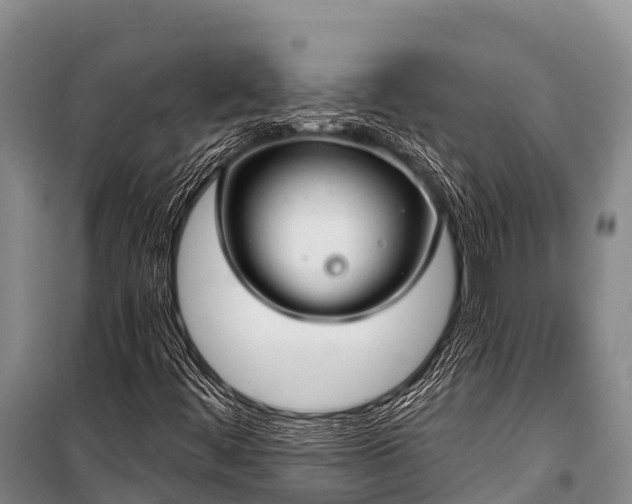 X0000100961444200807011321