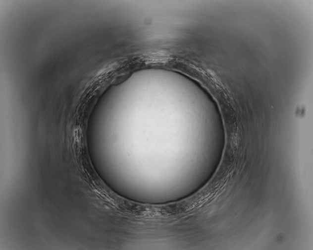 X0000100961445200807011321