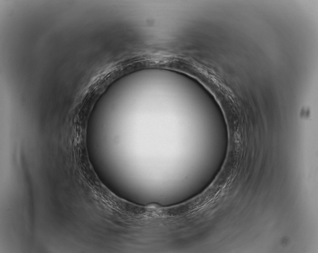 X0000100961447200807011321