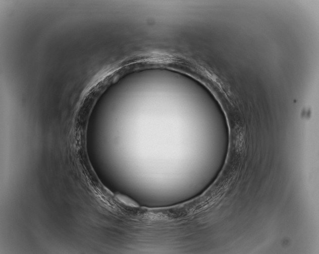 X0000100961448200807011321