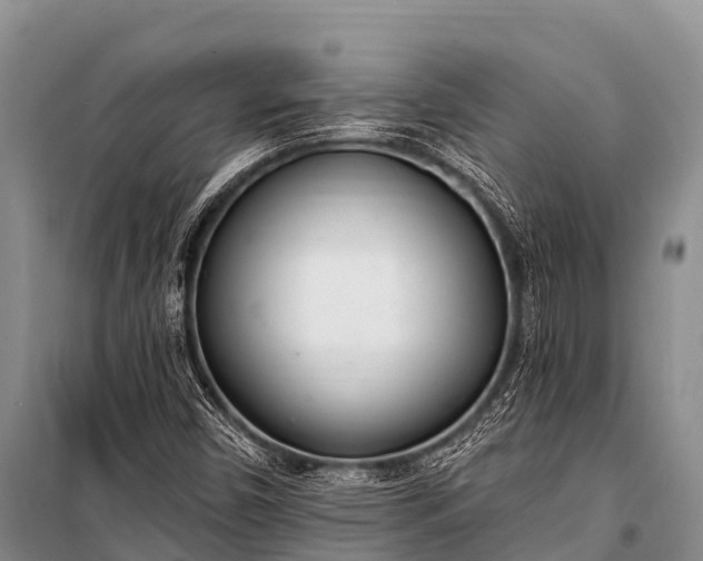 X0000100961450200807011321