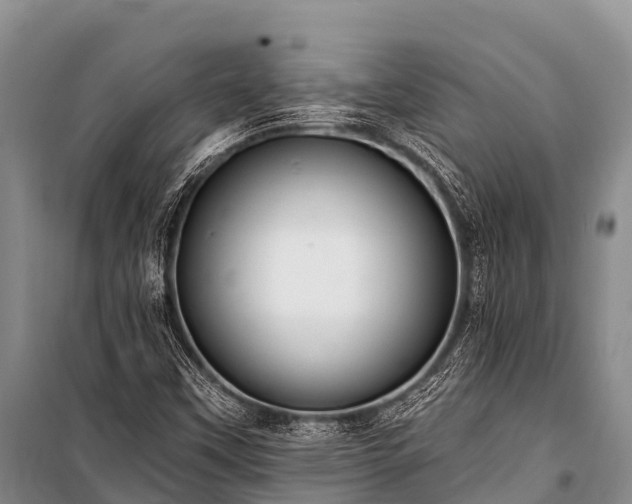 X0000100961451200807011321