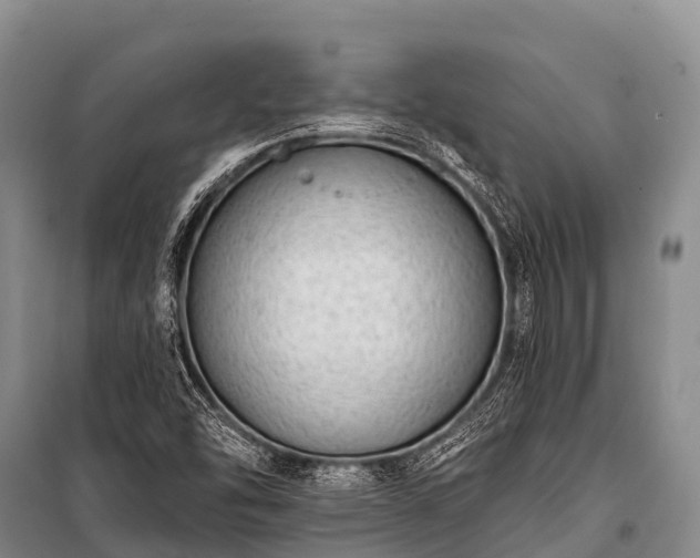 X0000100961454200807011321