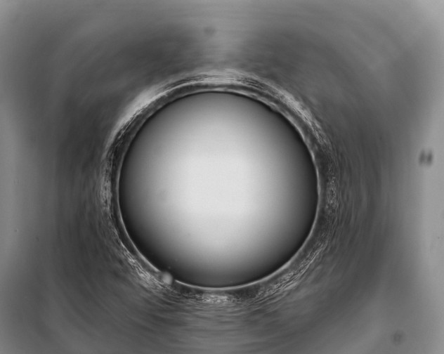 X0000100961456200807011321
