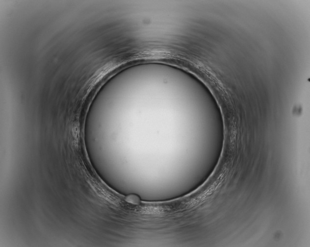 X0000100961457200807011321