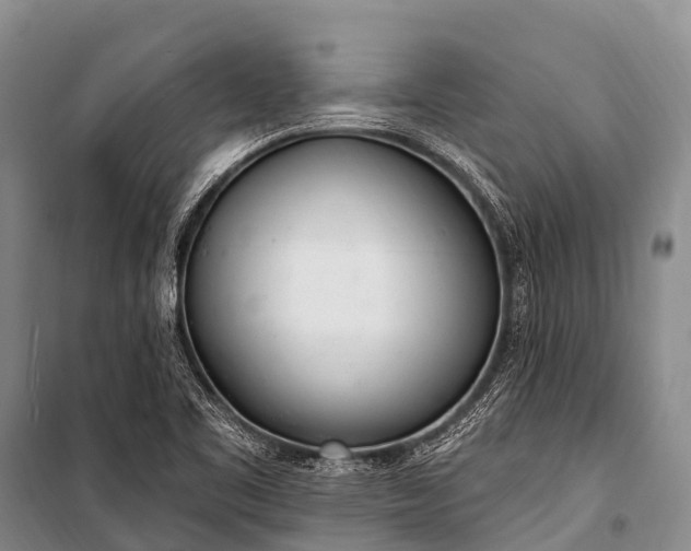 X0000100961461200807011320