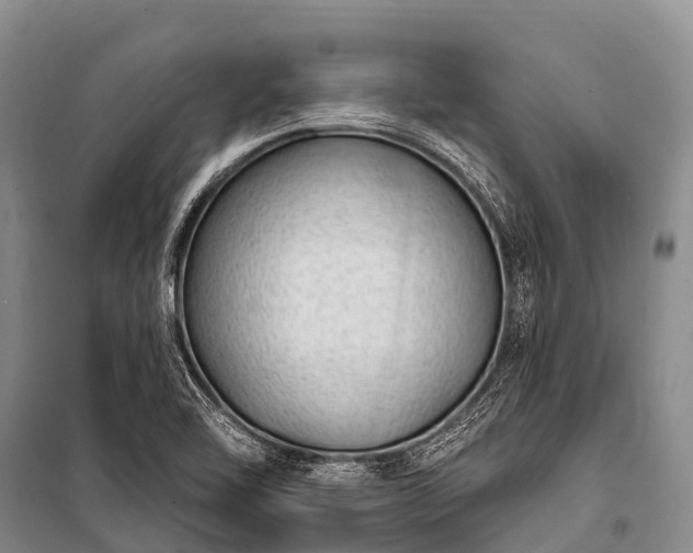 X0000100961462200807011320