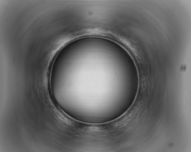 X0000100961463200807011320