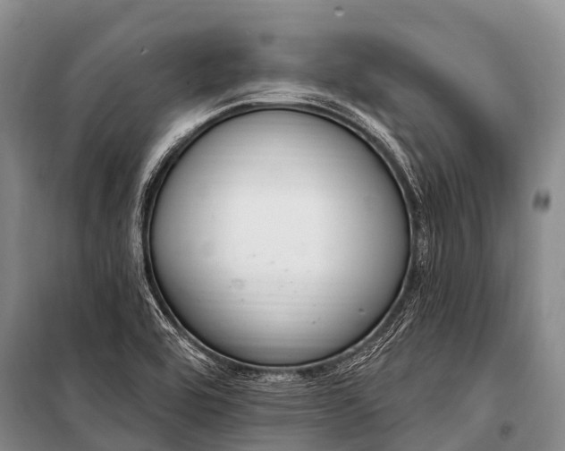 X0000100961464200807011320