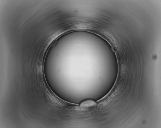 X0000100961465200807011320