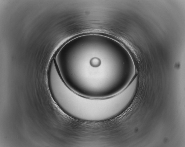 X0000100961468200807011320