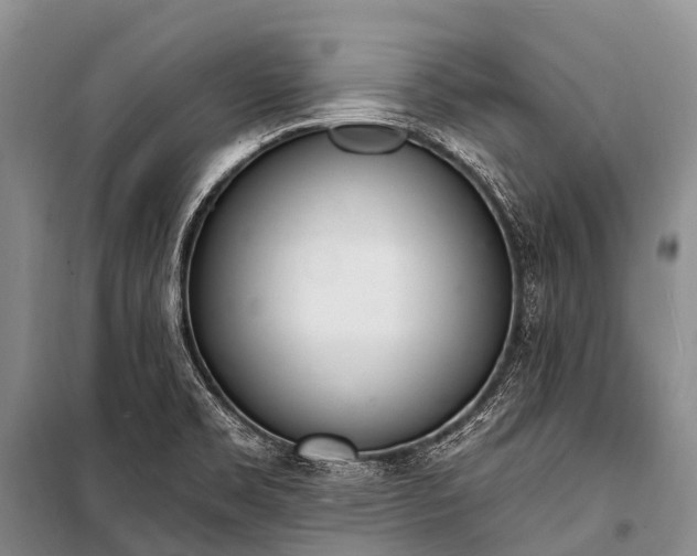 X0000100961469200807011320