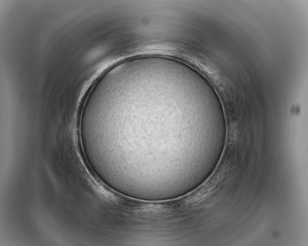 X0000100961470200807011320