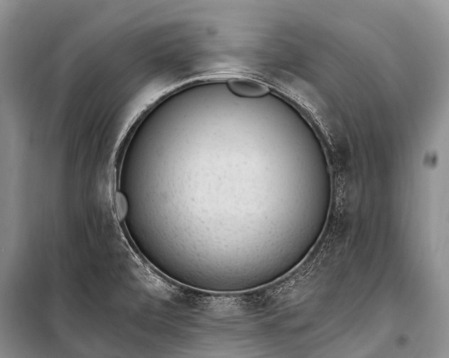 X0000100961472200807011320