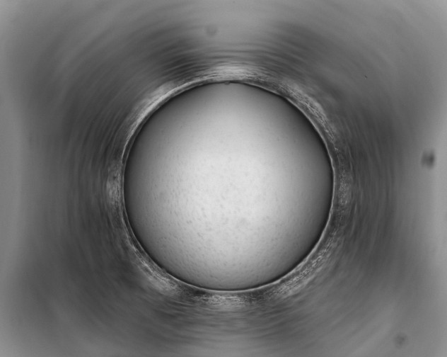 X0000100961473200807011320