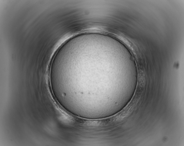 X0000100961474200807011320