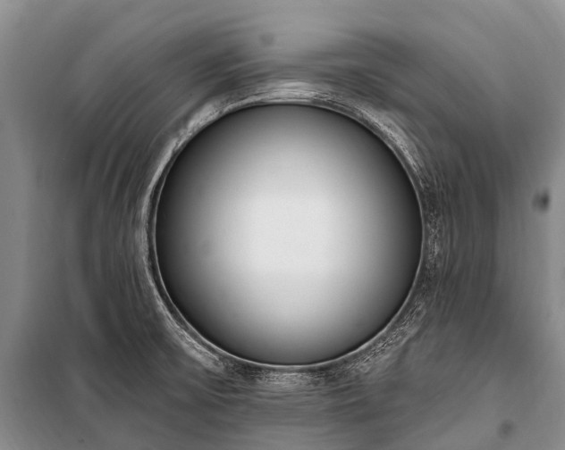 X0000100961475200807011320