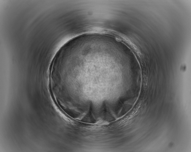 X0000100961479200807011320