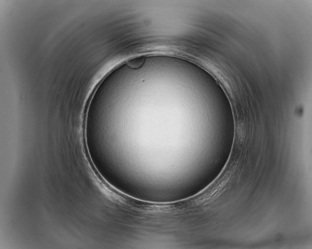 X0000100961482200807011320