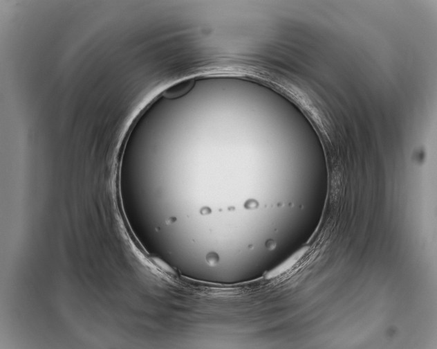 X0000100961484200807011320