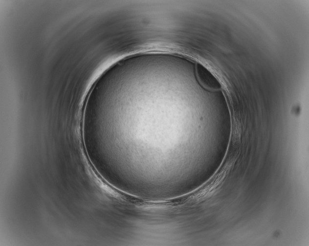 X0000100961486200807011320