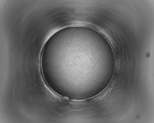 X0000100961487200807011320