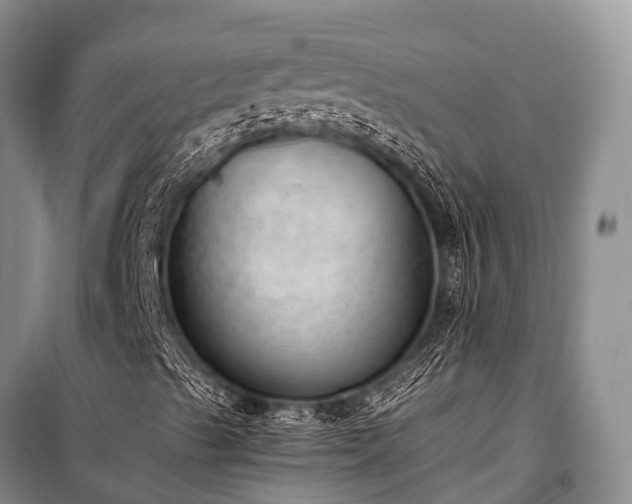 X0000100961489200807011319