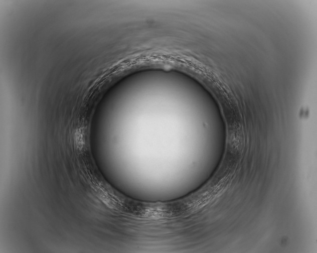 X0000100961490200807011319