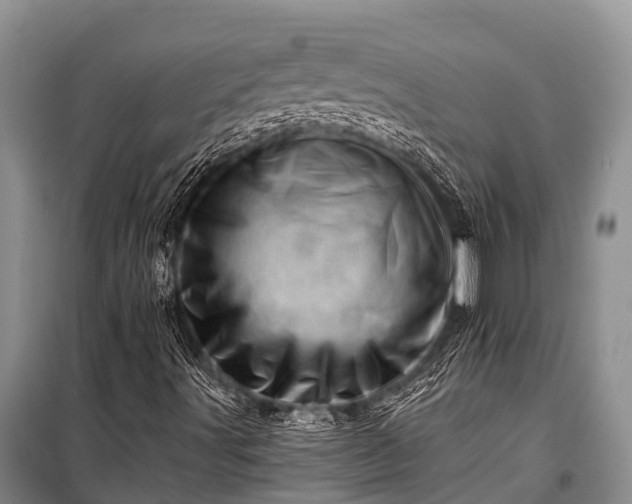 X0000100961491200807011319