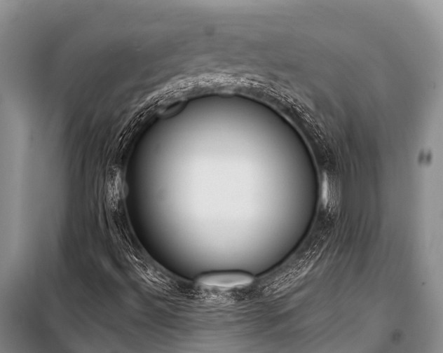X0000100961492200807011319