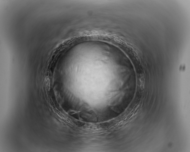 X0000100961493200807011319
